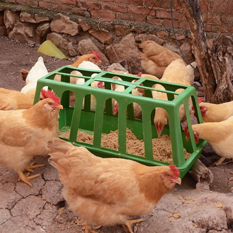Chicken Feeder Factory - Maggot Grit Dispenser Bulk Poultry Trough