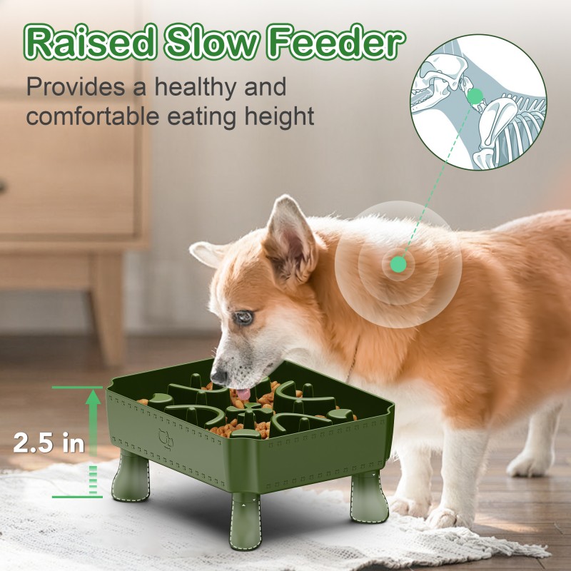 Interactive Dog Bowl Supplier - Anti-Slip 2 in 1 Elevated Puzzle Feeder