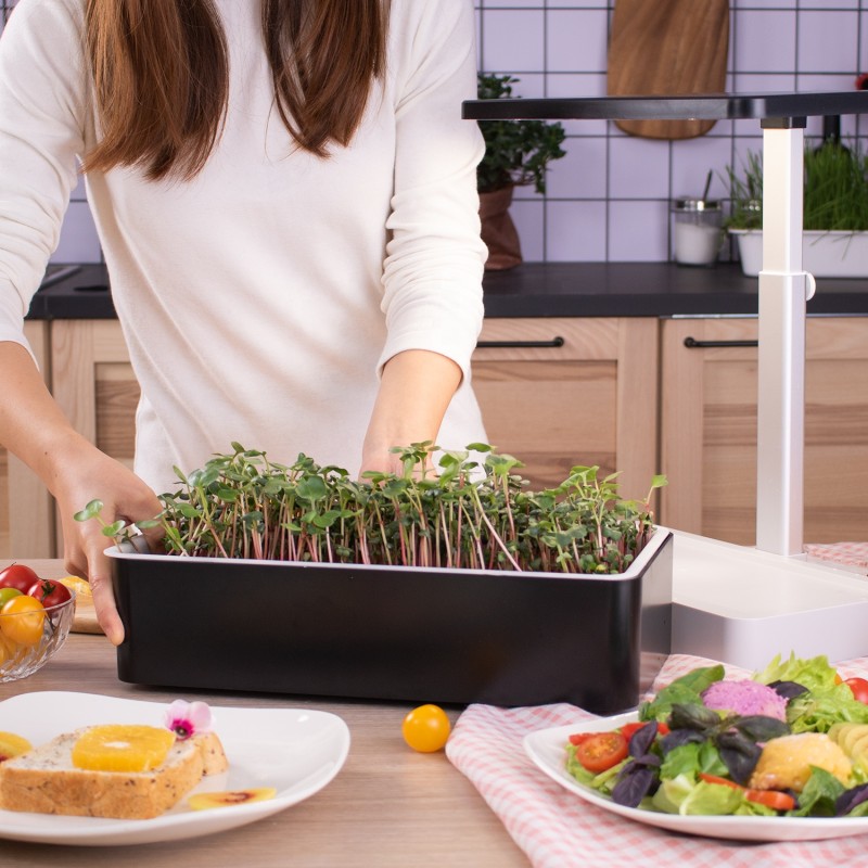 LED Grow System Factory - Indoor Garden Microgreens Hydroponic Seed Tray