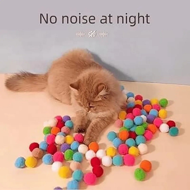 Reptile Breeding Box Factory - Various Size Transparent Black Plastic