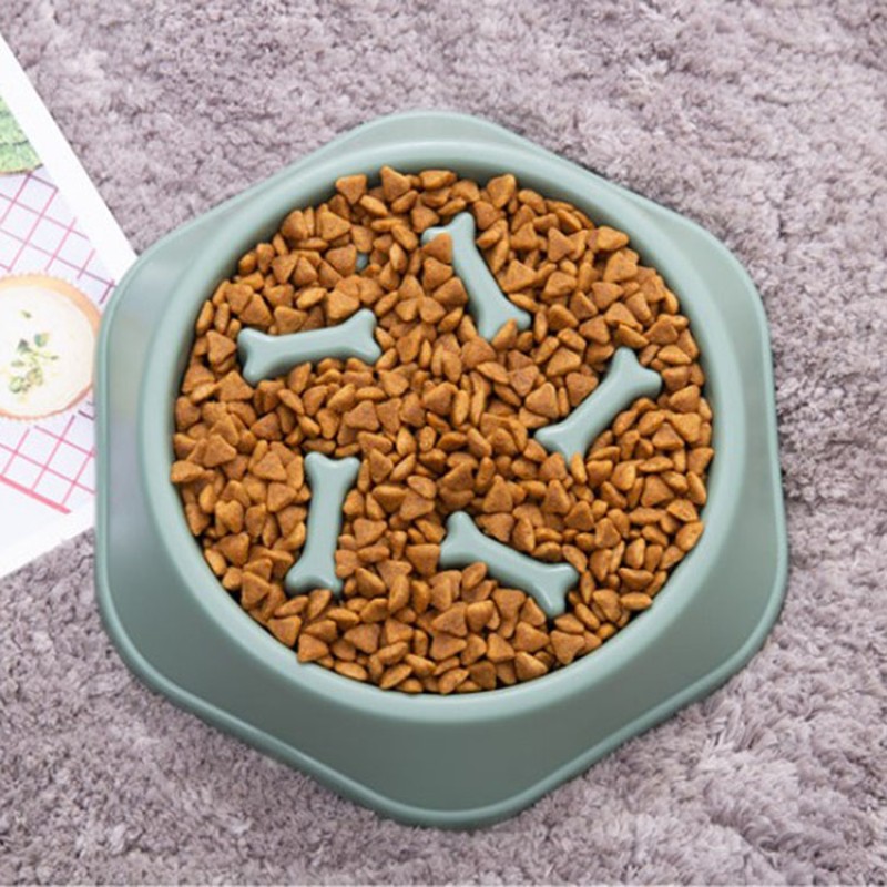 Slow Feeder Supplier - HOT SELL Healthy Pet Feeder Slow Eating Plate
