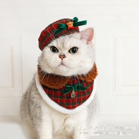 Pet Hat Set Manufacturer - OEM Cute Festive Clothing