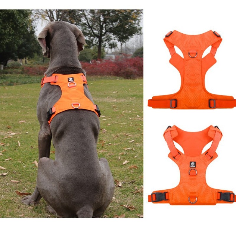 Pet Harness Factory - OEM Custom Logo Breathable Vest