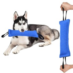 Pet Bite Stick Factory - OEM Linen Reflective Training