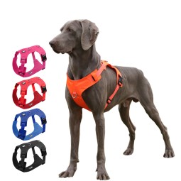 Pet Harness Factory - OEM Custom Logo Breathable Vest
