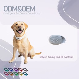 Pet Grooming Brush Supplier - Wholesale Plastic Hair Comb Spa Accessories