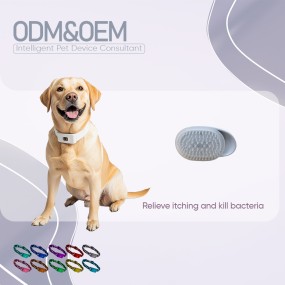 Pet Grooming Brush Supplier - Wholesale Plastic Hair Comb Spa Accessories