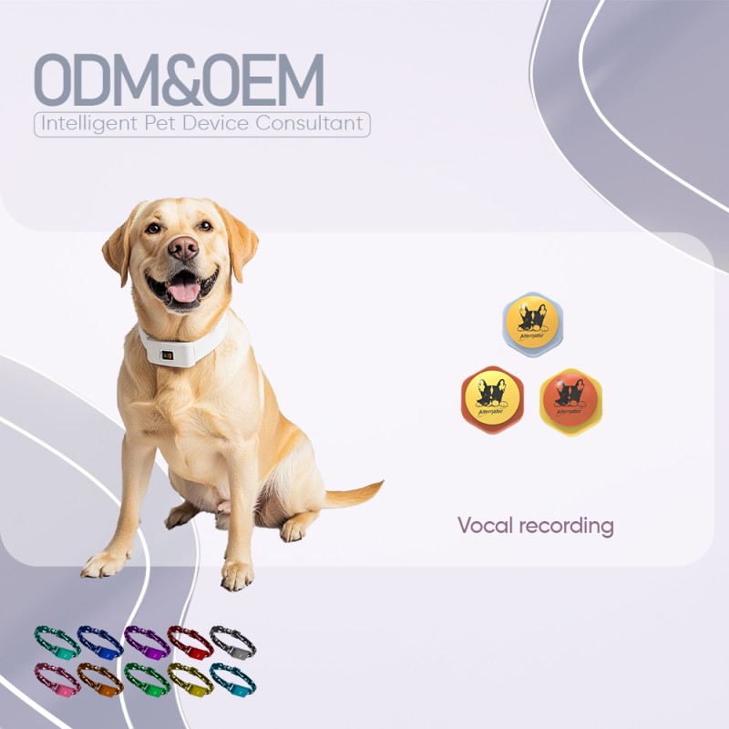 Pet Training Buttons Supplier - Wholesale Modern Pre-recorded Speech Talking