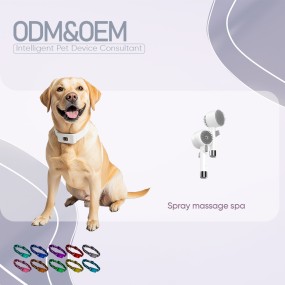 Pet Spray Comb Factory - Wholesale New Double-sided Plastic 3-in-1 Deodorant