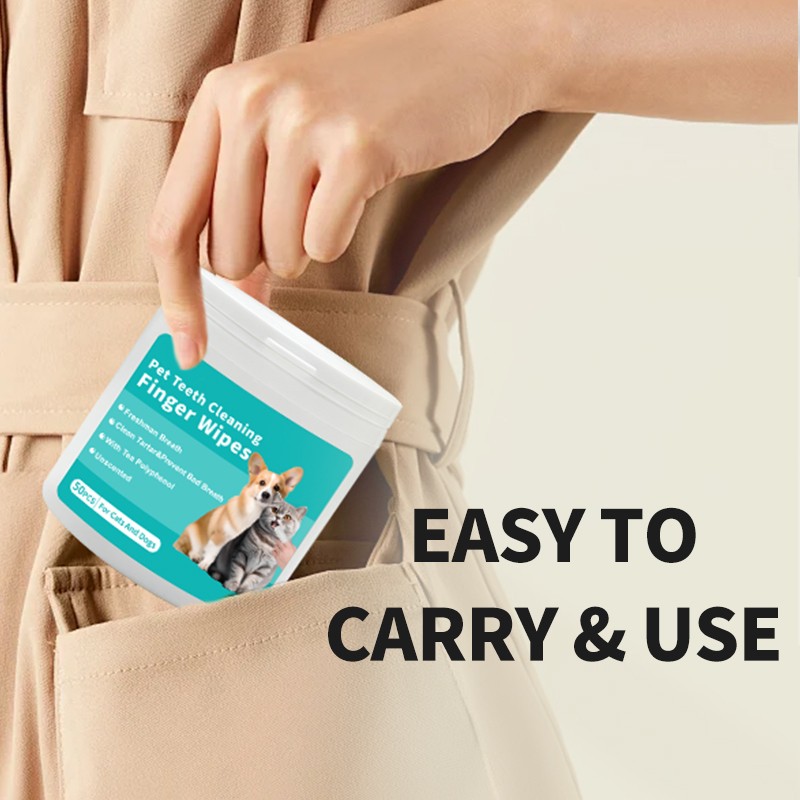 Pet Teeth Cleaner Factory - OEM Disposable Safe Non-irritating