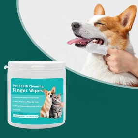 Pet Dental Wipes Manufacturer - OEM Organic Finger Plaque