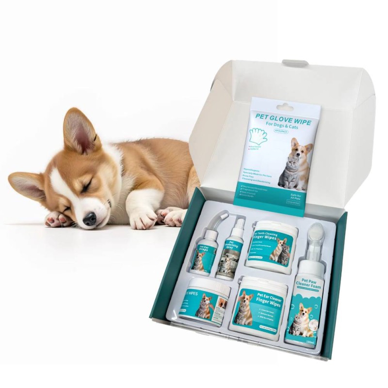 Pet Teeth Wipes Manufacturer - OEM Convenient No Rinse