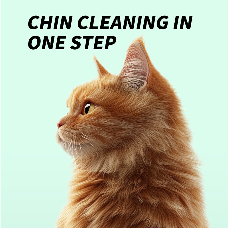 Pet Chin Wipes Manufacturer - OEM Custom Organic Anti-Bacterial