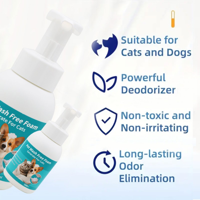 Pet Foam Bottle Factory - OEM 300ML Plastics Mousse Pump