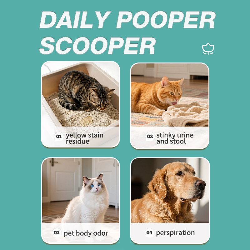 Pet House Cleaner Factory - OEM Custom No-Rinse Deodorizing