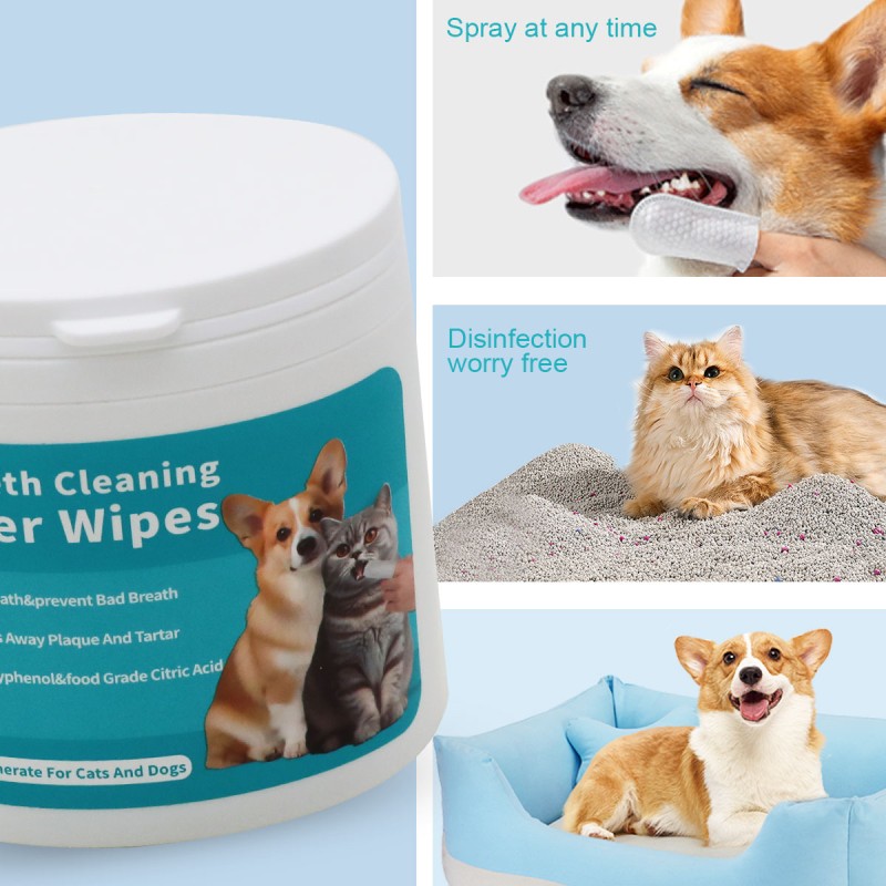 Pet Dental Wipes Factory - OEM Biodegradable Compostable