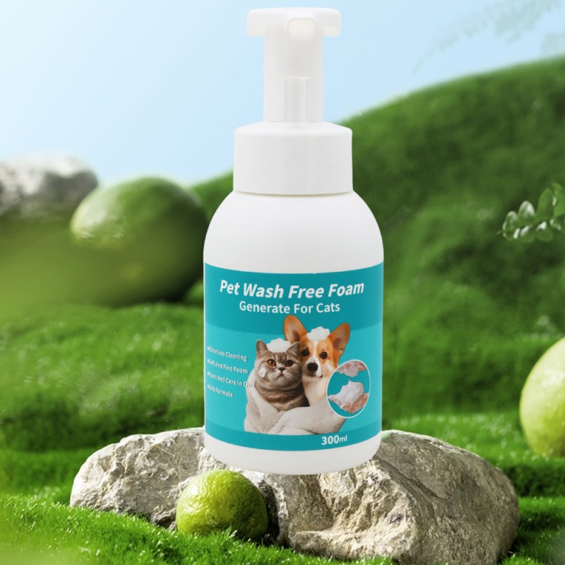 Pet Foam Bottle Factory - OEM 300ML Plastics Mousse Pump