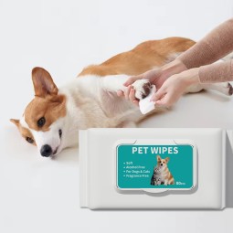 Pet Grooming Wipes Manufacturer - OEM Organic Natural Free