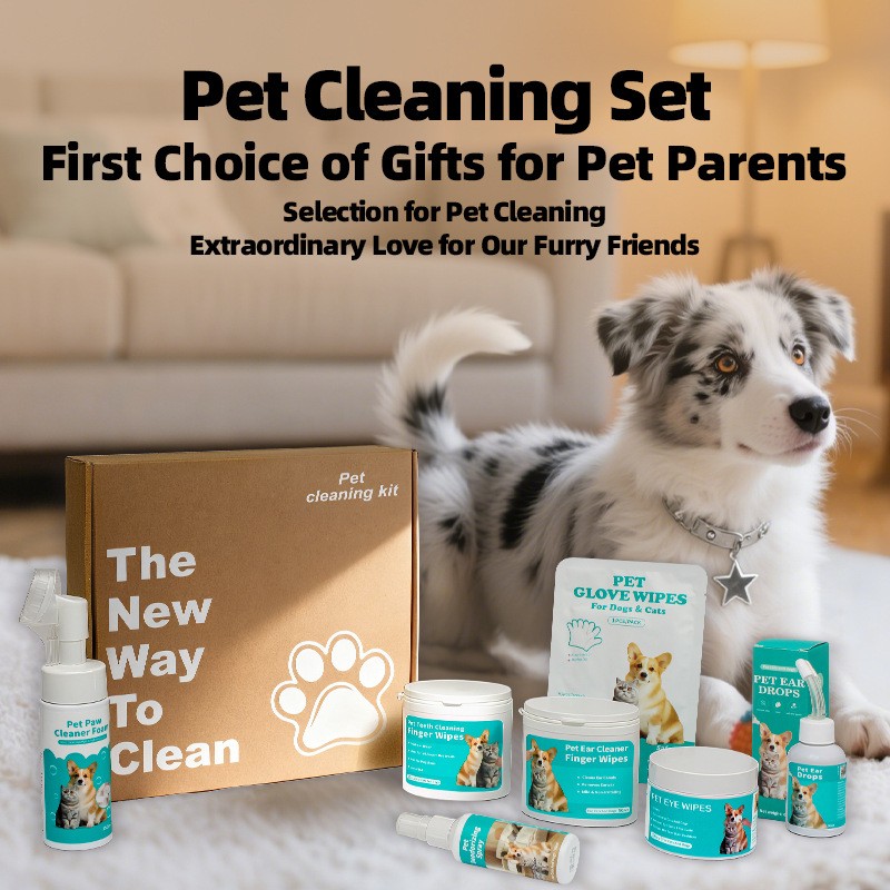 Pet Wipes Set Factory - OEM New Arrival Natural Gift Box