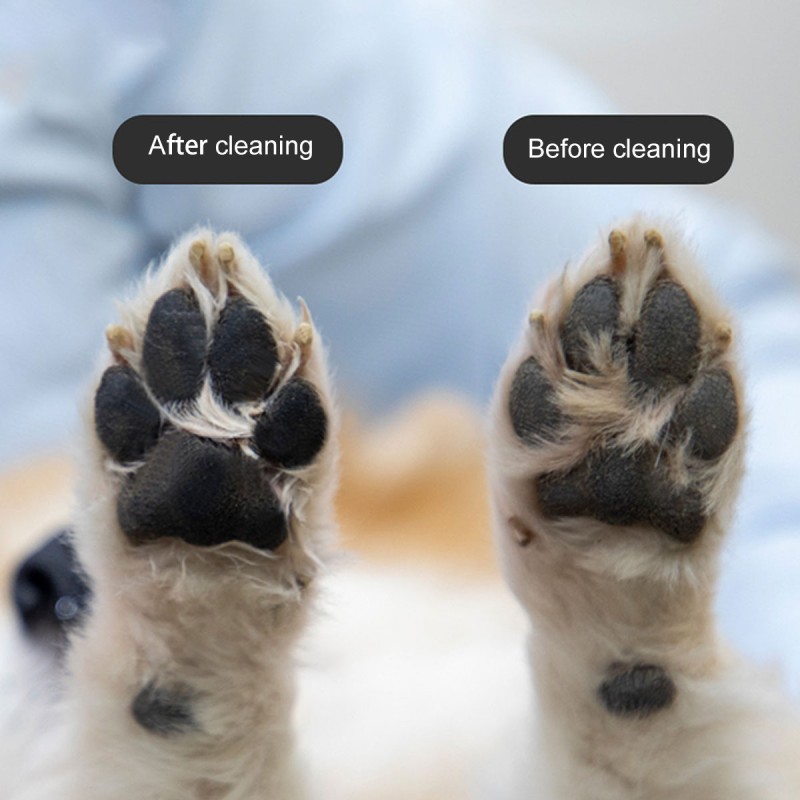 Pet Paw Cleaner Manufacturer - OEM Dry Shampoo Scrubber Brush