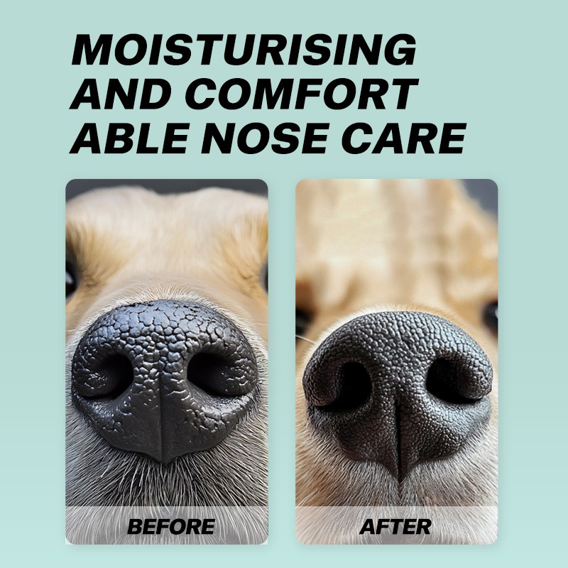 Pet Nose Wipes Manufacturer - OEM Moisturizing Finger Cot