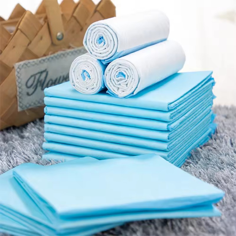 Pet Pee Pad Factory - OEM High Quality Absorbent Training