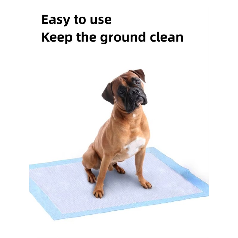 Pet Pee Pad Factory - OEM High Quality Absorbent Training