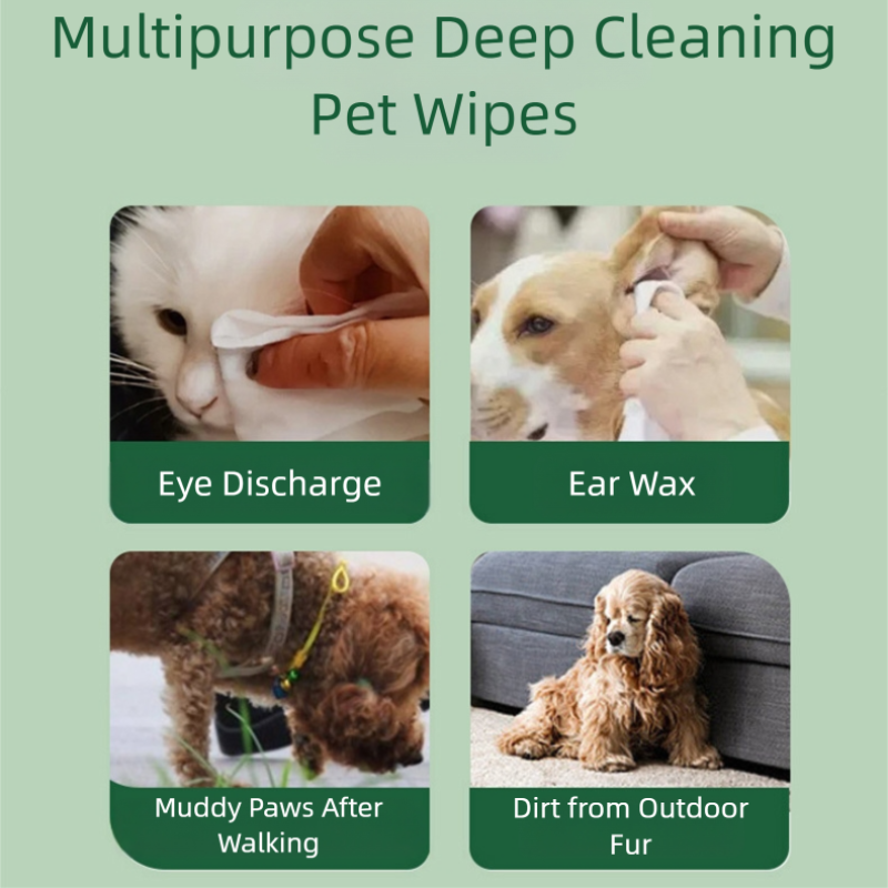 Pet Wipes Factory - OEM Eco Friendly Hypoallergenic