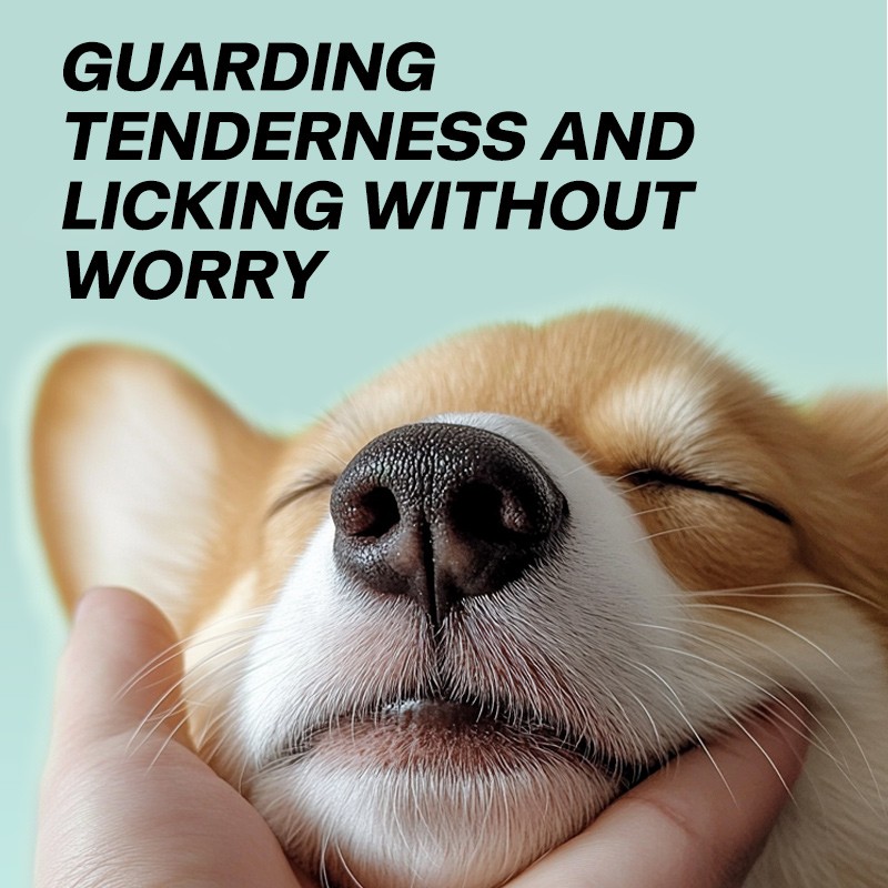 Pet Nose Wipes Factory - OEM Finger Moisturizing Dry Cracked