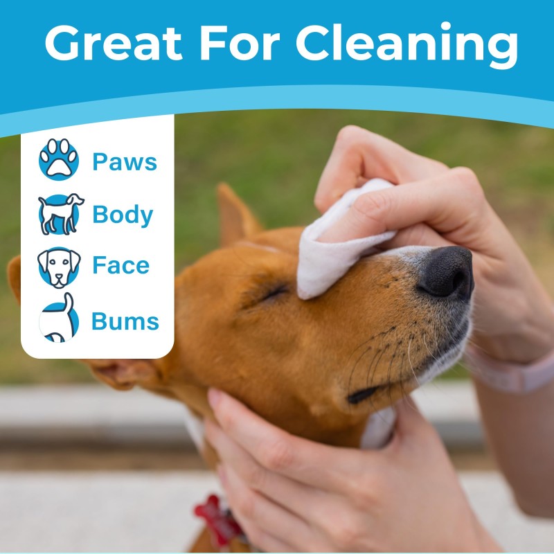 Pet Wipes Factory - OEM Custom Soft Mild Non-Irritating