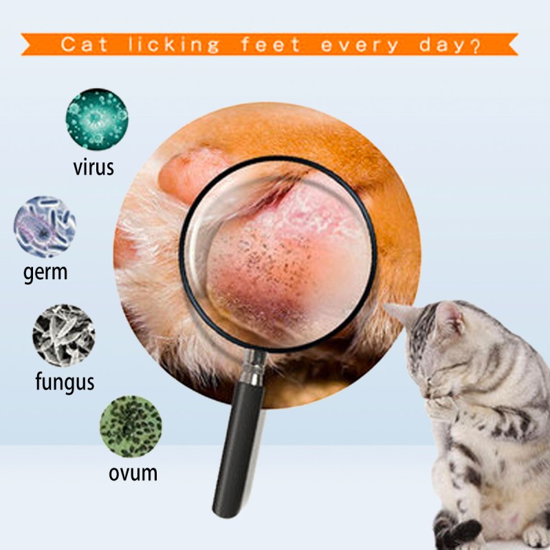 Pet Paw Cleaner Manufacturer - OEM Dry Shampoo Scrubber Brush