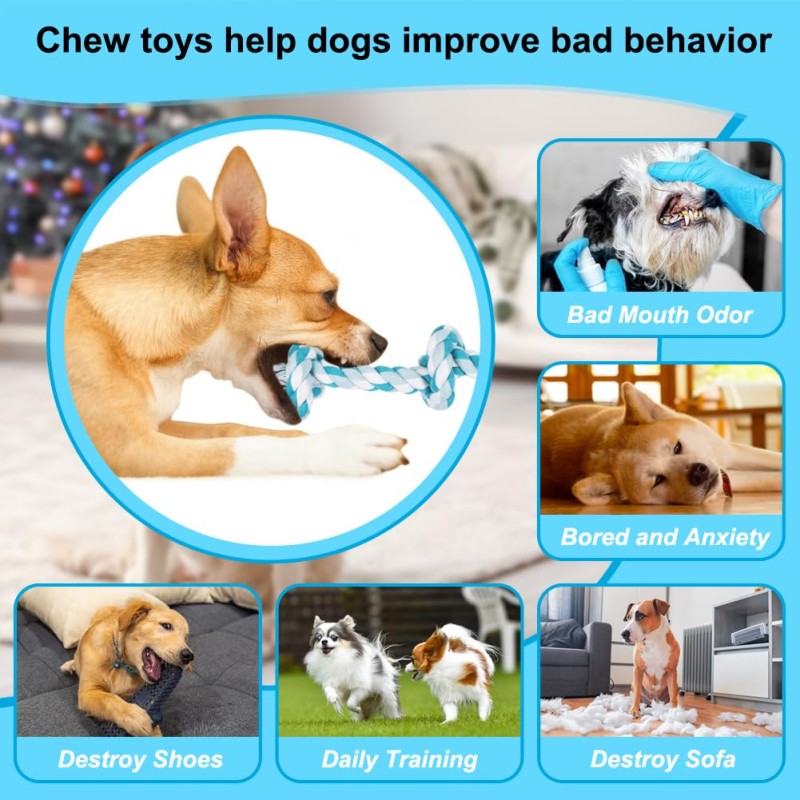 Pet Chew Toy Factory - OEM Blue Bite-Resistant Double Knot
