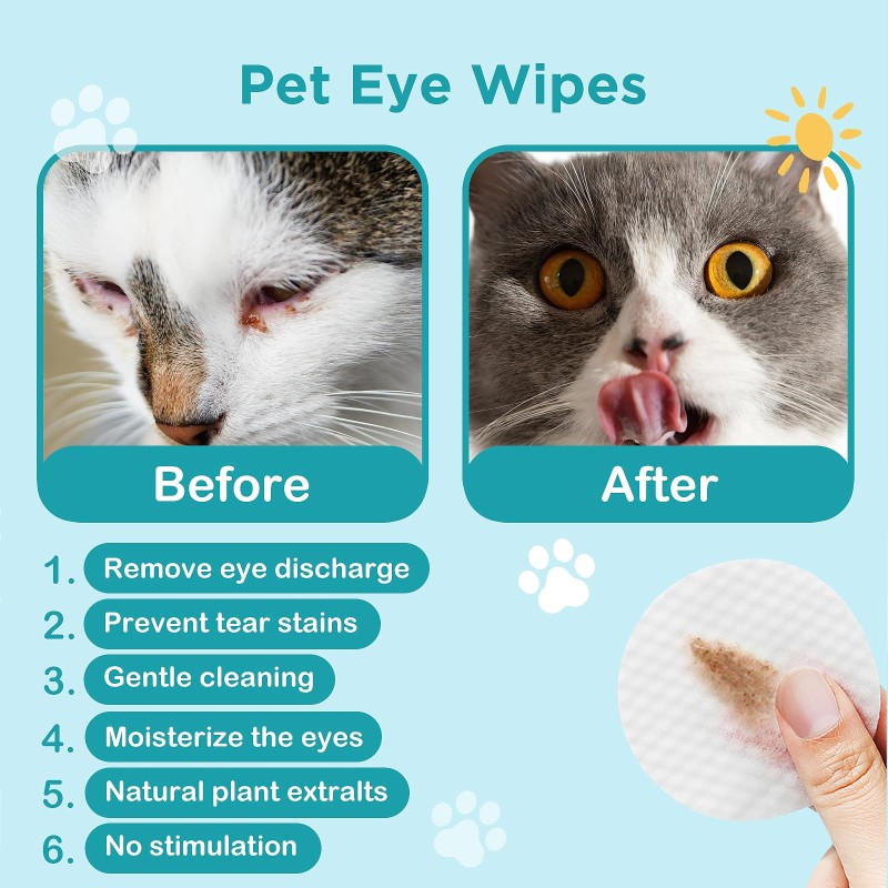 Pet Care Wipes Manufacturer - OEM Free Sample Soft Moisturizing