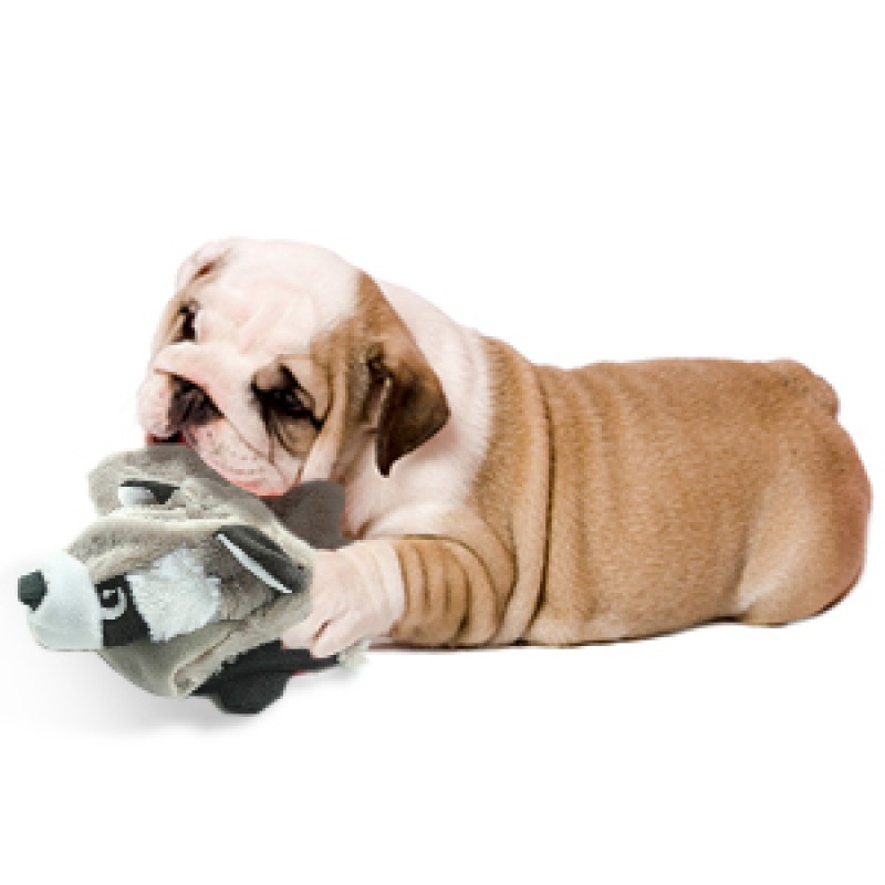 Pet Squeaky Toy Factory - OEM Portable Animals Shape No