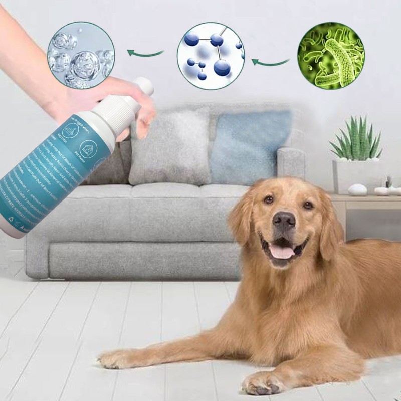 Pet Deodorizing Spray Factory - OEM Alcohol-Free 60ml Eco