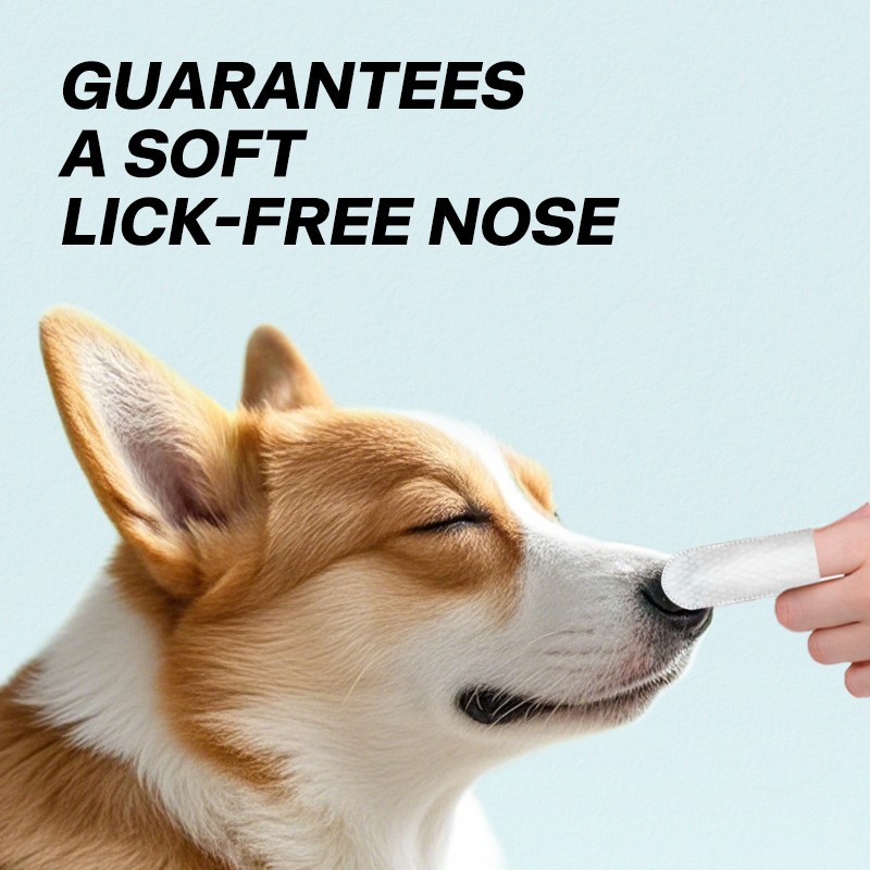 Pet Nose Wipes Manufacturer - OEM Medical Grade Environmentally