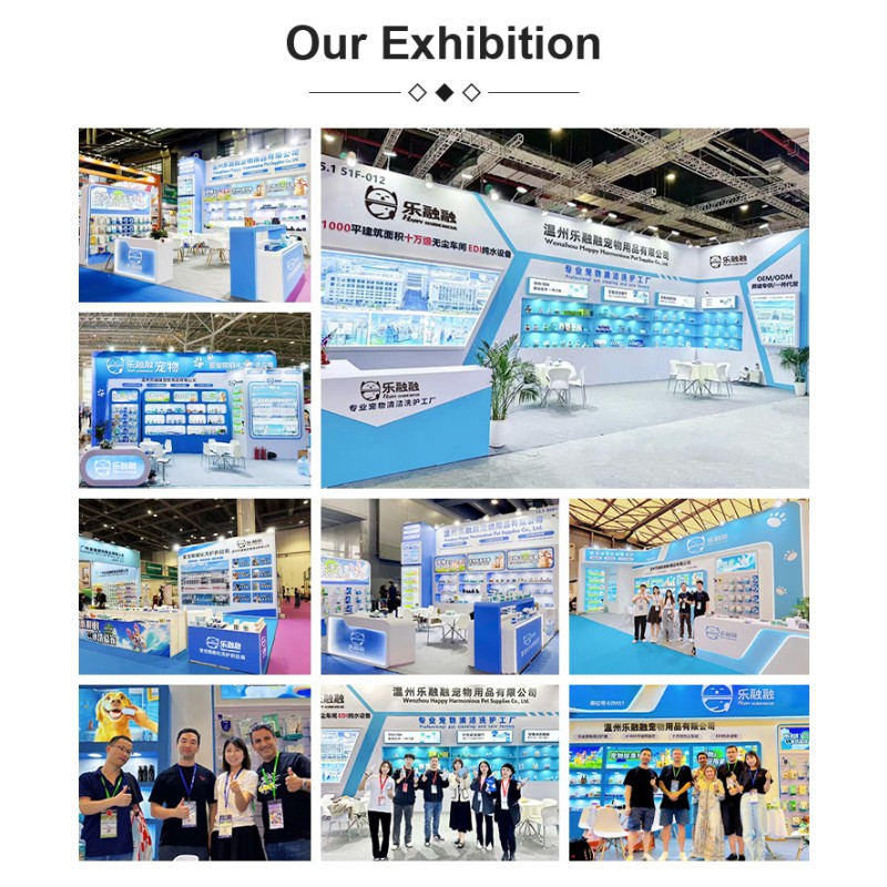 Pet Finger Wipes Factory - OEM Customized Biodegradable Plant