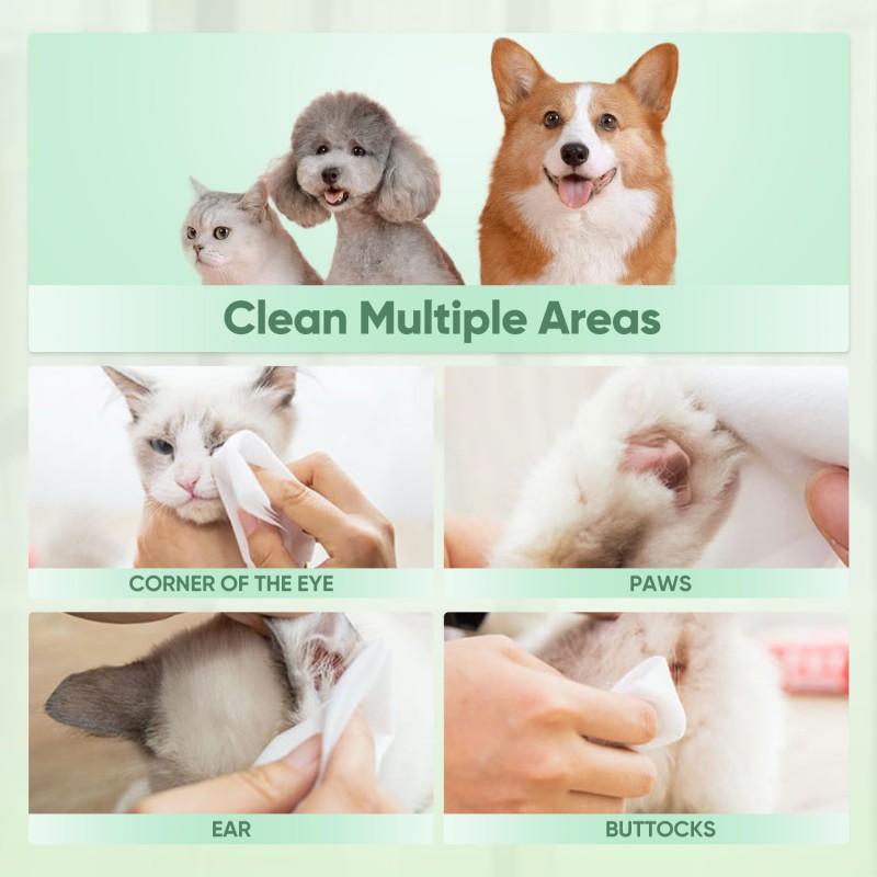 Pet Toilet Wipes Manufacturer - OEM Custom Oversized Fragrance