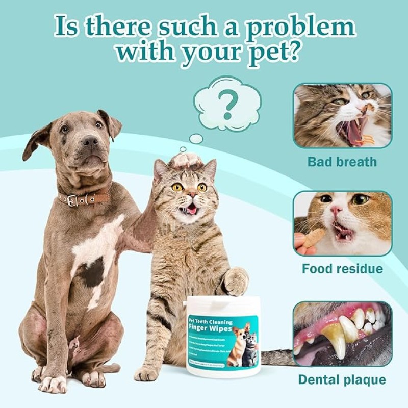 Pet Oral Wipes Manufacturer - OEM Plant Extract Deodorizing