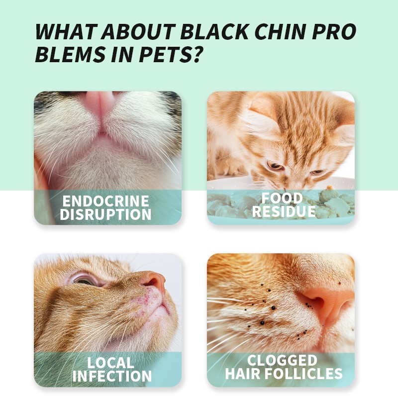 Pet Chin Wipes Factory - OEM New Design Eco-Friendly Black