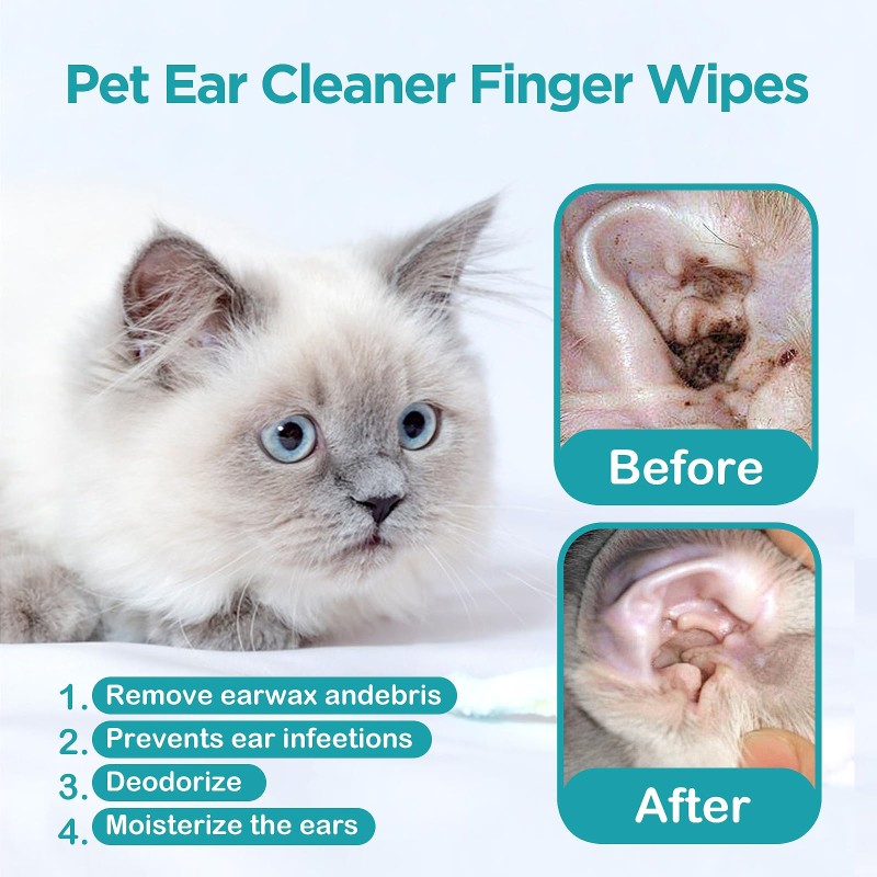 Pet Care Wipes Manufacturer - OEM Free Sample Soft Moisturizing