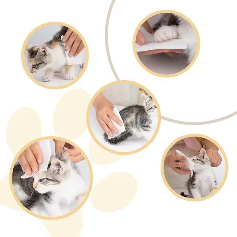 Pet Wipes Factory - OEM Custom Biodegradable Cotton