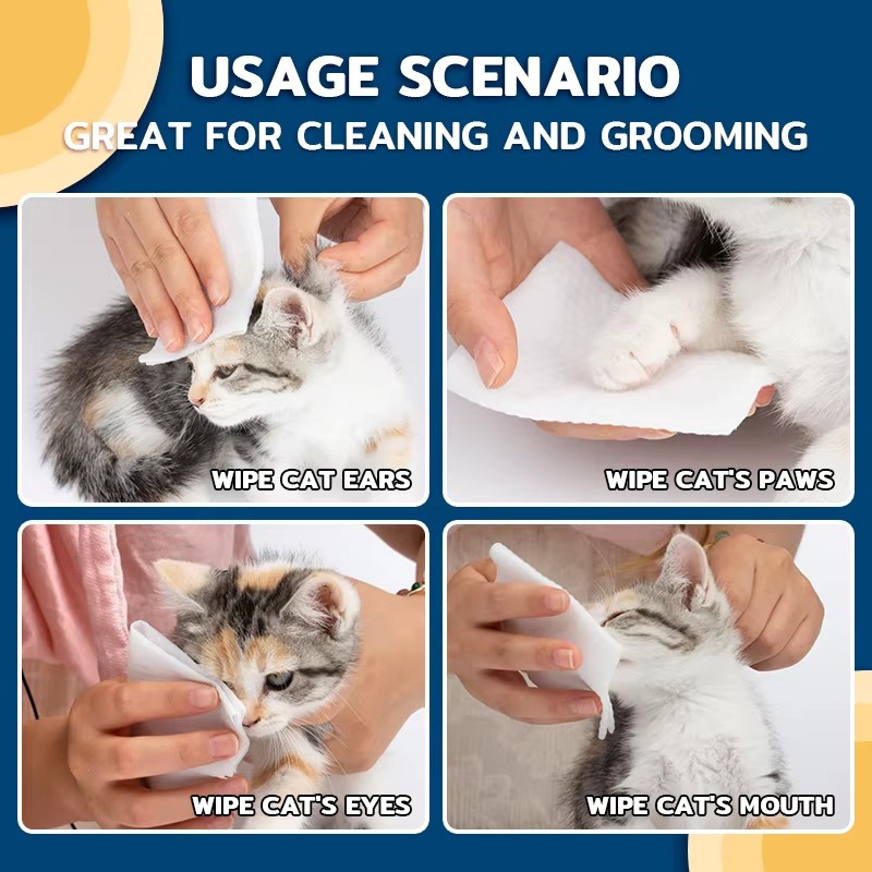 Pet Grooming Wipes Manufacturer - OEM Custom Alcohol-Free
