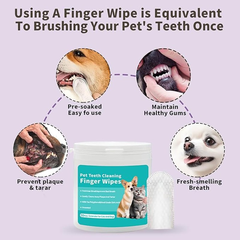 Pet Teeth Wipes Manufacturer - OEM Luxury Multipurpose 50 Count