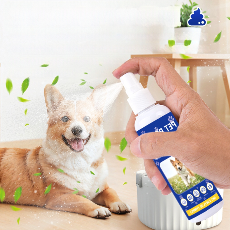 Pet Training Spray Manufacturer - OEM Custom Orientation Inducer