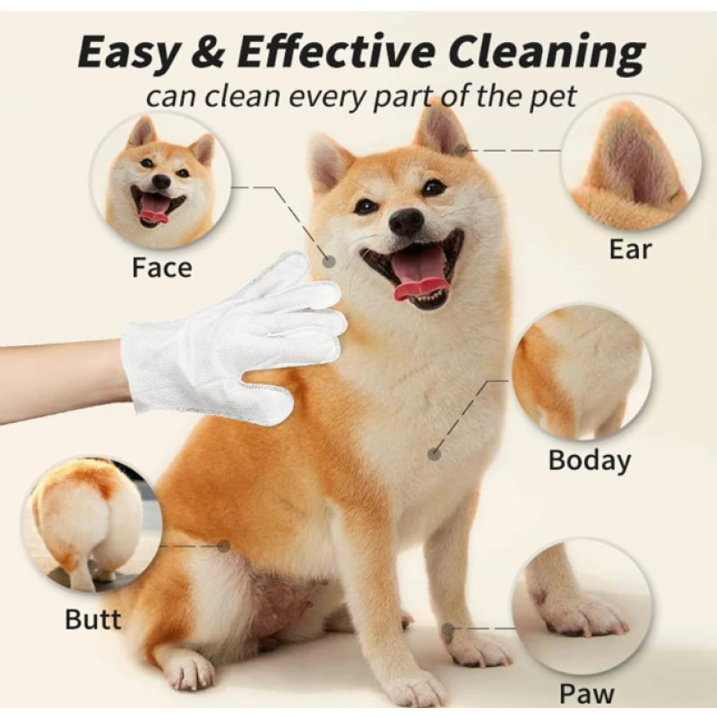 Pet Cleaning Gloves Factory - OEM Disposable Biodegradable