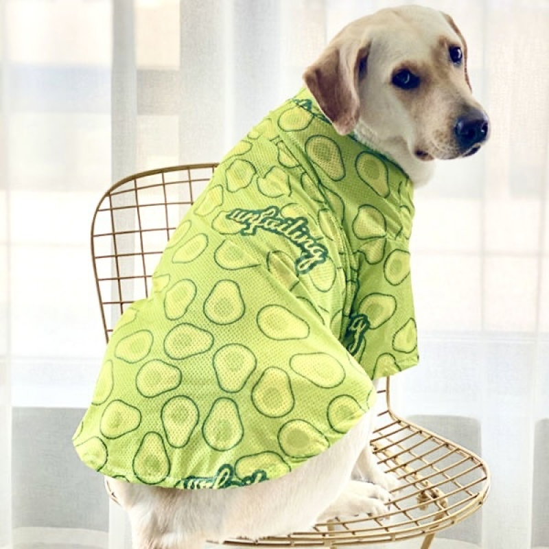 Large Breathable Mesh Sun Protection Clothes for Spring Summer Anti-Shedding Printed Golden Retriever Border Classic Polyester