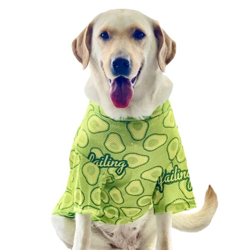 Large Breathable Mesh Sun Protection Clothes for Spring Summer Anti-Shedding Printed Golden Retriever Border Classic Polyester