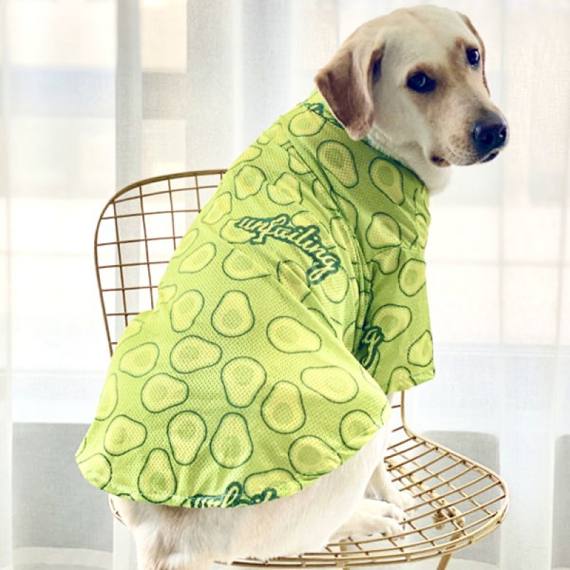 Large Breathable Mesh Sun Protection Clothes for Spring Summer Anti-Shedding Printed Golden Retriever Border Classic Polyester