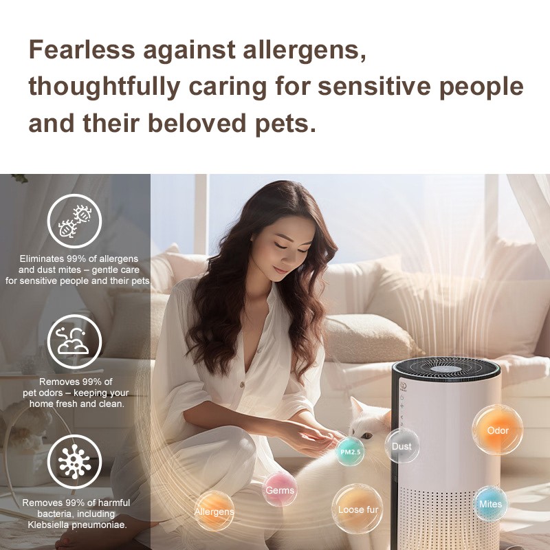 Portable Air Purifier Factory - Quiet Intelligent HEPA Sleep Mode Allergen Removal